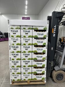Υπηρεσίες - Tokas Olymp Fruits - εξαγωγές ακτινιδίων Υπηρεσίες - Tokas Olymp Fruits - εξαγωγές ακτινιδίων