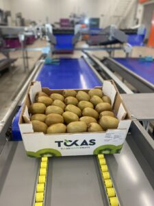 Υπηρεσίες - Tokas Olymp Fruits - εξαγωγές ακτινιδίων