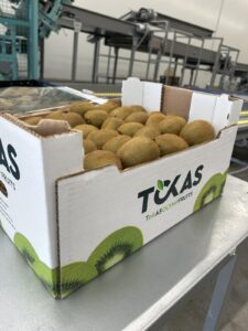 Υπηρεσίες - Tokas Olymp Fruits - εξαγωγές ακτινιδίων Υπηρεσίες - Tokas Olymp Fruits - εξαγωγές ακτινιδίων