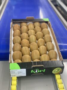 Υπηρεσίες - Tokas Olymp Fruits - εξαγωγές ακτινιδίων