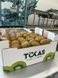 Υπηρεσίες - Tokas Olymp Fruits - εξαγωγές ακτινιδίων