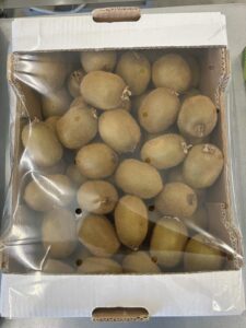 Υπηρεσίες - Tokas Olymp Fruits - εξαγωγές ακτινιδίων Υπηρεσίες - Tokas Olymp Fruits - εξαγωγές ακτινιδίων