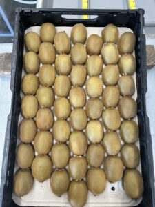 Υπηρεσίες - Tokas Olymp Fruits - εξαγωγές ακτινιδίων