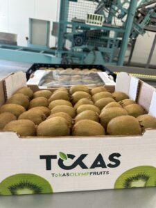 Υπηρεσίες - Tokas Olymp Fruits - εξαγωγές ακτινιδίων