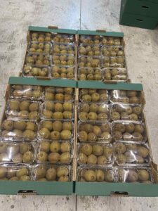 Υπηρεσίες - Tokas Olymp Fruits - εξαγωγές ακτινιδίων