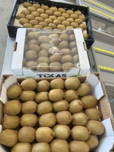 Υπηρεσίες - Tokas Olymp Fruits - εξαγωγές ακτινιδίων Υπηρεσίες - Tokas Olymp Fruits - εξαγωγές ακτινιδίων