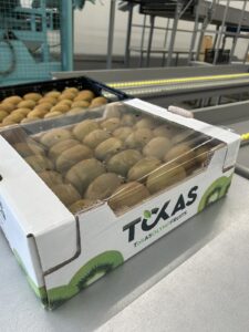 Υπηρεσίες - Tokas Olymp Fruits - εξαγωγές ακτινιδίων Υπηρεσίες - Tokas Olymp Fruits - εξαγωγές ακτινιδίων