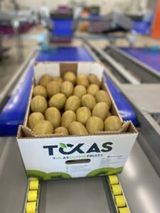 Υπηρεσίες - Tokas Olymp Fruits - εξαγωγές ακτινιδίων