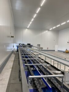 Υπηρεσίες - Tokas Olymp Fruits - εξαγωγές ακτινιδίων