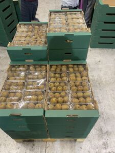 Υπηρεσίες - Tokas Olymp Fruits - εξαγωγές ακτινιδίων