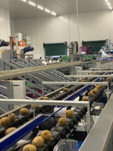 Υπηρεσίες - Tokas Olymp Fruits - εξαγωγές ακτινιδίων