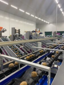 Υπηρεσίες - Tokas Olymp Fruits - εξαγωγές ακτινιδίων Υπηρεσίες - Tokas Olymp Fruits - εξαγωγές ακτινιδίων