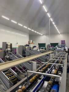 Υπηρεσίες - Tokas Olymp Fruits - εξαγωγές ακτινιδίων