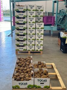 Υπηρεσίες - Tokas Olymp Fruits - εξαγωγές ακτινιδίων