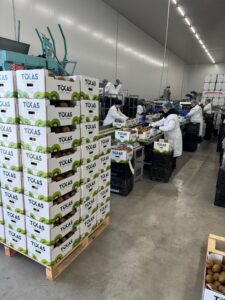 Υπηρεσίες - Tokas Olymp Fruits - εξαγωγές ακτινιδίων Υπηρεσίες - Tokas Olymp Fruits - εξαγωγές ακτινιδίων