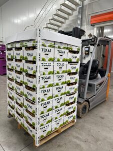 Υπηρεσίες - Tokas Olymp Fruits - εξαγωγές ακτινιδίων