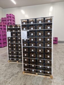 Υπηρεσίες - Tokas Olymp Fruits - εξαγωγές ακτινιδίων Υπηρεσίες - Tokas Olymp Fruits - εξαγωγές ακτινιδίων