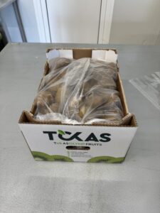 Υπηρεσίες - Tokas Olymp Fruits - εξαγωγές ακτινιδίων