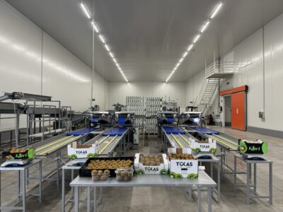 Υπηρεσίες - Tokas Olymp Fruits - εξαγωγές ακτινιδίων