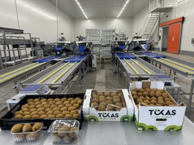 Υπηρεσίες - Tokas Olymp Fruits - εξαγωγές ακτινιδίων