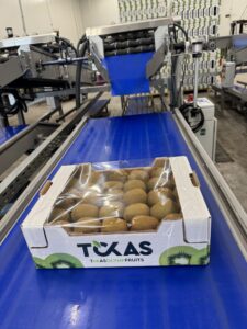 Υπηρεσίες - Tokas Olymp Fruits - εξαγωγές ακτινιδίων
