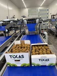 Υπηρεσίες - Tokas Olymp Fruits - εξαγωγές ακτινιδίων Υπηρεσίες - Tokas Olymp Fruits - εξαγωγές ακτινιδίων