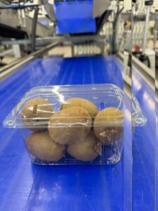 Υπηρεσίες - Tokas Olymp Fruits - εξαγωγές ακτινιδίων