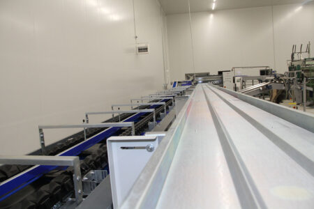 Υπηρεσίες - Tokas Olymp Fruits - εξαγωγές ακτινιδίων