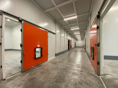 Υπηρεσίες - Tokas Olymp Fruits - εξαγωγές ακτινιδίων